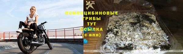 дживик Вязьма
