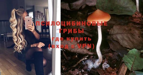 соль ск Горняк