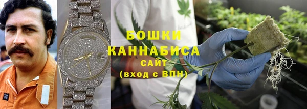 соль ск Горняк